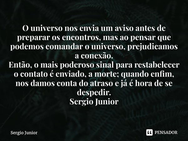 ⁠O universo nos envia um aviso antes de preparar os encontros, mas ao pensar que podemos comandar o universo, prejudicamos a conexão. Então, o mais poderoso sin... Frase de Sérgio Júnior.