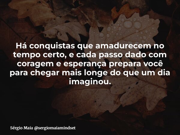 Há conquistas que amadurecem no tempo certo, e cada passo dado com coragem e esperança prepara você para chegar mais longe do que um dia imaginou.... Frase de Sérgio Maia sergiomaiamindset.