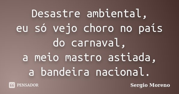 Desastre ambiental, eu só vejo choro no país do carnaval, a meio mastro astiada, a bandeira nacional.... Frase de Sergio Moreno.