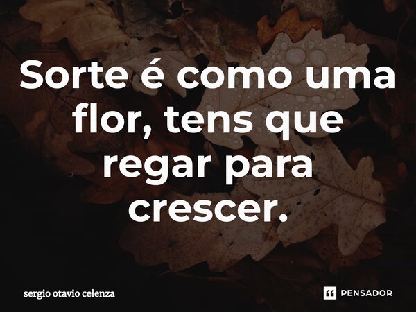 Sorte é como uma flor, tens que ⁠regar para crescer.... Frase de Sergio otavio celenza.