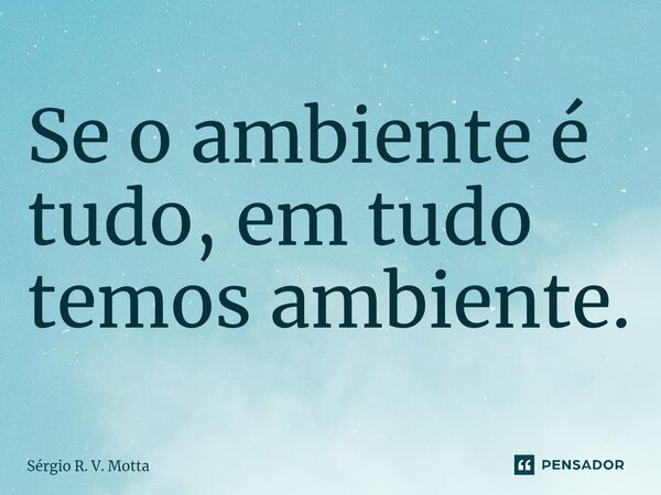 Se o ambiente é tudo, em tudo temos ambiente.... Frase de Sérgio R. V. Motta.