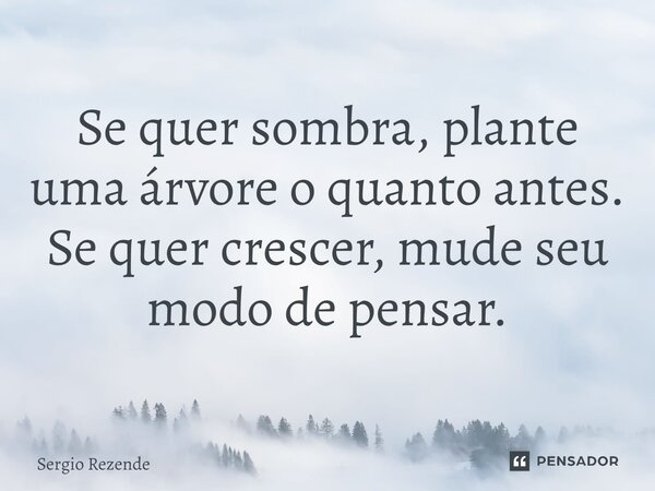 ⁠Se quer sombra, plante uma árvore o quanto antes. Se quer crescer, mude seu modo de pensar.... Frase de Sergio Rezende.