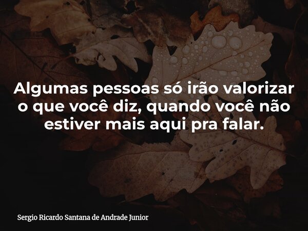 Algumas pessoas só irão valorizar o que você diz, quando você não estiver mais aqui pra falar.... Frase de Sergio Ricardo Santana de Andrade Junior.