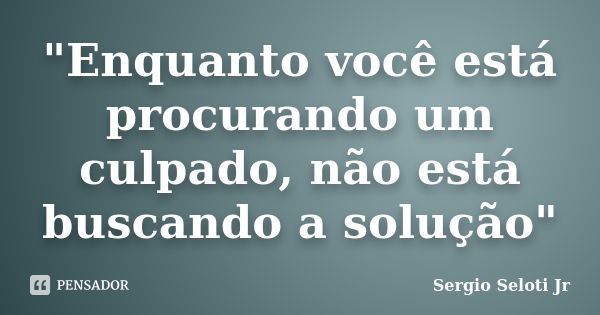 "Enquanto você está procurando um culpado, não está buscando a solução"... Frase de Sergio Seloti Jr.