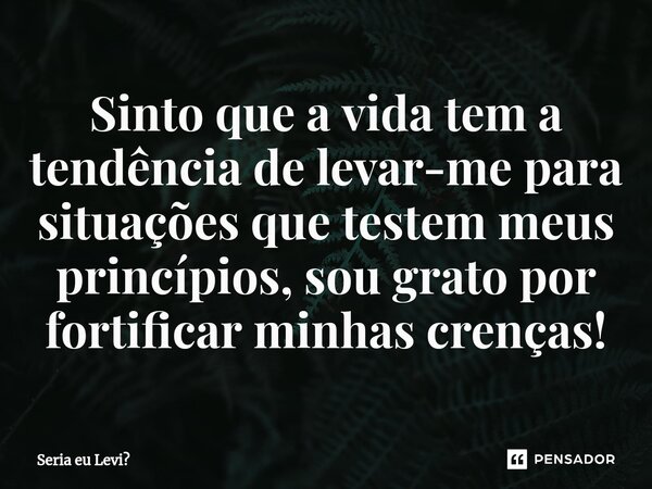 Sinto que a vida tem a tendência de levar-me para situações que testem meus princípios, sou grato por fortificar minhas crenças!⁠... Frase de Seria eu Levi.