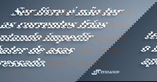 Ser livre é não ter as correntes frias tentando impedir o bater de asas apressado.
