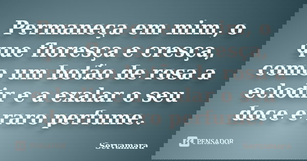 Permaneça em mim, o que floresça e cresça, como um botão de rosa a eclodir e a exalar o seu doce e raro perfume.... Frase de Servamara.