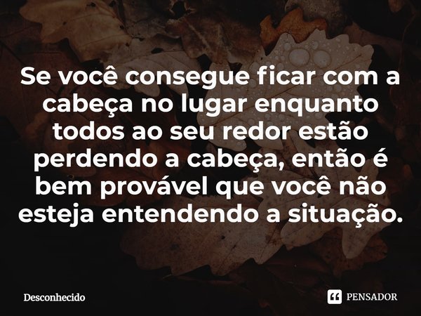 ⁠Se você consegue ficar com a cabeça no lugar enquanto todos ao seu redor estão perdendo a cabeça, então é bem provável que você não esteja entendendo a situaçã