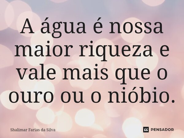 ⁠A água é nossa maior riqueza e vale mais que o ouro ou o nióbio.... Frase de Shalimar Farias da Silva.