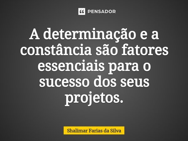 A determinação e a constância são fatores essenciais para o sucesso dos seus projetos.... Frase de Shalimar Farias da Silva.