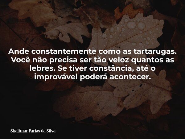 Ande constantemente como as tartarugas. Você não precisa ser tão veloz quantos as lebres. Se tiver constância, até o improvável poderá acontecer.... Frase de Shalimar Farias da Silva.