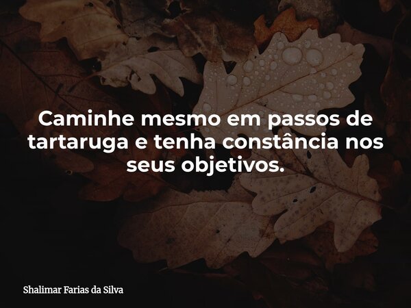 Caminhe mesmo em passos de tartaruga e tenha constância nos seus objetivos.... Frase de Shalimar Farias da Silva.