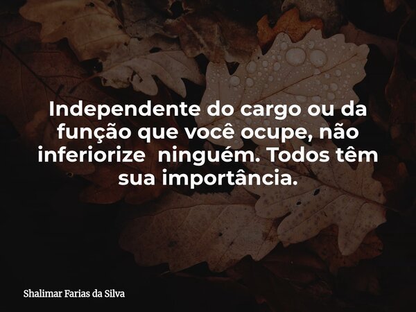 Independente do cargo ou da função que você ocupe, não inferiorize ninguém. Todos têm sua importância.... Frase de Shalimar Farias da Silva.