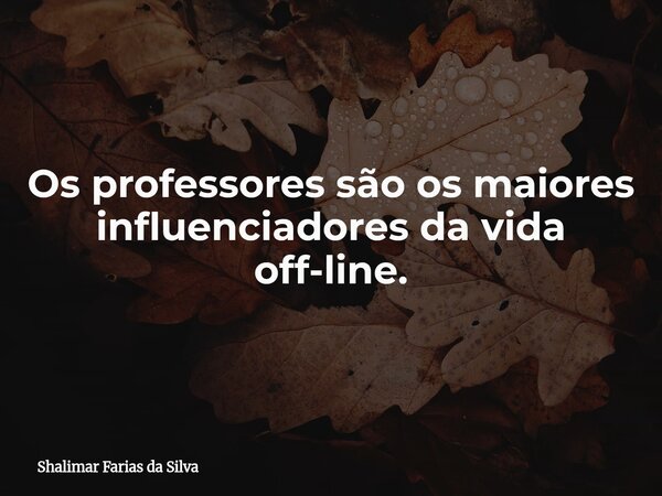 Os professores são os maiores influenciadores da vida off-line.... Frase de Shalimar Farias da Silva.
