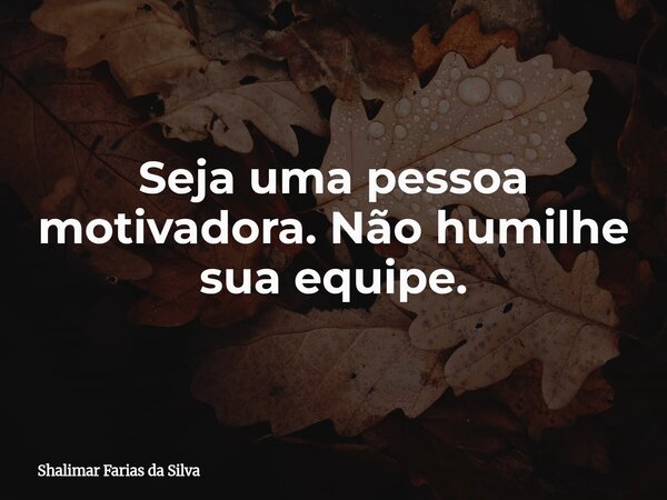 Seja uma pessoa motivadora. Não humilhe sua equipe.... Frase de Shalimar Farias da Silva.
