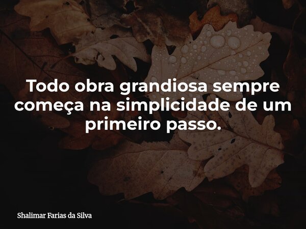 Todo obra grandiosa sempre começa na simplicidade de um primeiro passo.... Frase de Shalimar Farias da Silva.