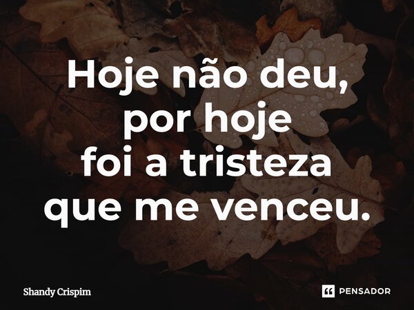 ⁠Hoje não deu, por hoje foi a tristeza que me venceu.... Frase de Shandy Crispim.