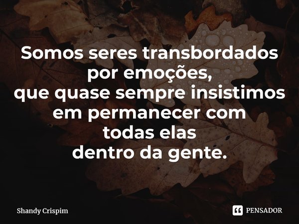 Somos seres transbordados por emoções, que quase sempre insistimos em permanecer com todas elas dentro da gente.⁠... Frase de Shandy Crispim.