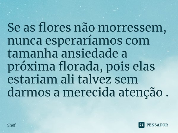 ⁠Se as flores não morressem, nunca esperaríamos com tamanha ansiedade a próxima florada, pois elas estariam ali talvez sem darmos a merecida atenção .... Frase de Shef.