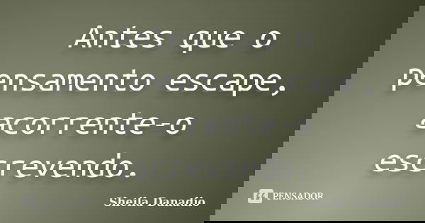 Antes que o pensamento escape, acorrente-o escrevendo.... Frase de Sheila Danadio.