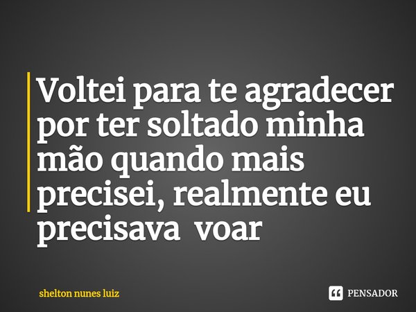 ⁠Voltei para te agradecer por ter soltado minha mão quando mais precisei, realmente eu precisava voar... Frase de shelton nunes luiz.