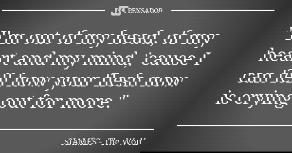 "I'm out of my head, of my heart and my mind, 'cause I can fell how your flesh now is crying out for more."... Frase de SIAMÉS - The Wolf.