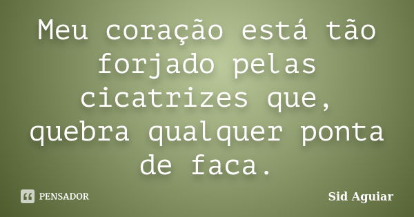 Meu coração está tão forjado pelas cicatrizes que, quebra qualquer ponta de faca.... Frase de Sid Aguiar.