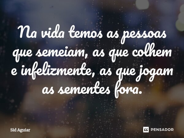 ⁠Na vida temos as pessoas que semeiam, as que colhem e infelizmente, as que jogam as sementes fora.... Frase de Sid Aguiar.