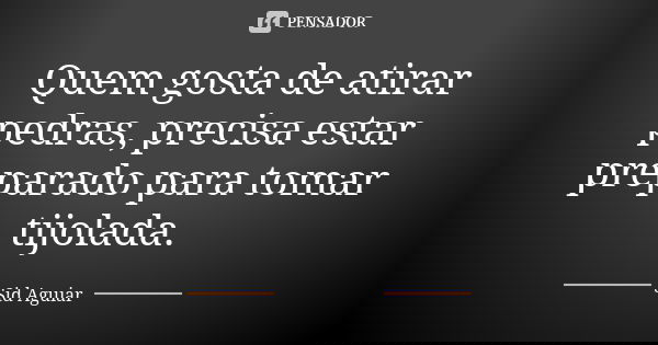 Quem gosta de atirar pedras, precisa estar preparado para tomar tijolada.... Frase de Sid Aguiar.