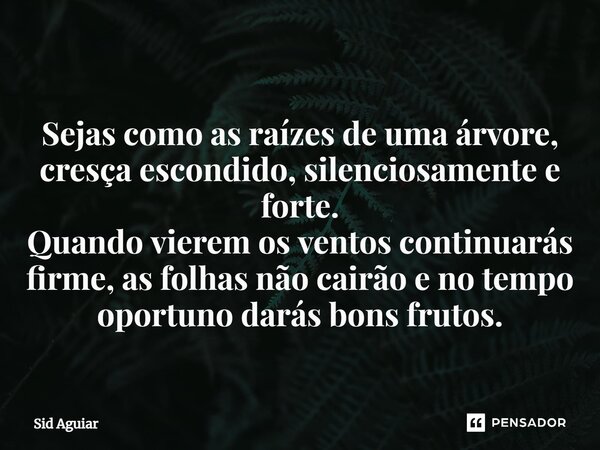 ⁠Sejas como as raízes de uma árvore, cresça escondido, silenciosamente e forte. Quando vierem os ventos continuarás firme, as folhas não cairão e no tempo oport... Frase de Sid Aguiar.