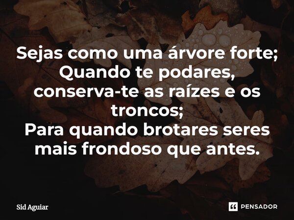 ⁠Sejas como uma árvore forte; Quando te podares, conserva-te as raízes e os troncos; Para quando brotares seres mais frondoso que antes.... Frase de Sid Aguiar.