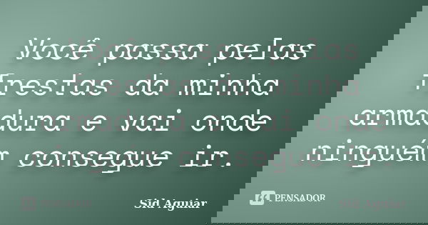 Você passa pelas frestas da minha armadura e vai onde ninguém consegue ir.... Frase de Sid Aguiar.
