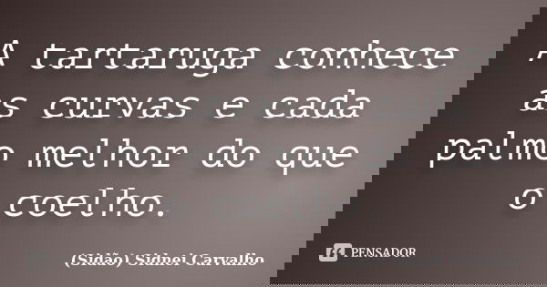 A tartaruga conhece as curvas e cada palmo melhor do que o coelho.... Frase de Sidão (Sidnei Carvalho).