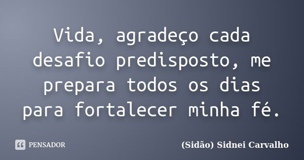 Vida, agradeço cada desafio predisposto, me prepara todos os dias para fortalecer minha fé.... Frase de Sidão (Sidnei Carvalho).