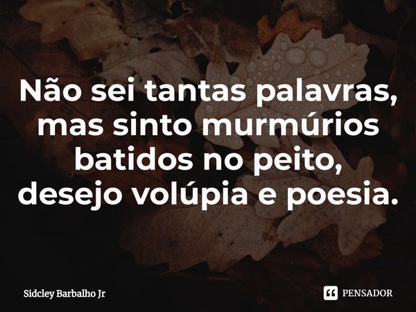 ⁠Não sei tantas palavras,
mas sinto murmúrios batidos no peito,
desejo volúpia e poesia.... Frase de Sidcley Barbalho Jr.