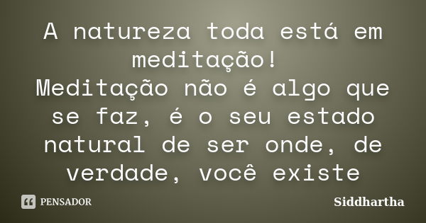 A natureza toda está em meditação! Meditação não é algo que se faz, é o seu estado natural de ser onde, de verdade, você existe... Frase de Siddhartha.