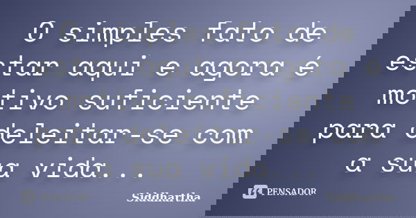 O simples fato de estar aqui e agora é motivo suficiente para deleitar-se com a sua vida...... Frase de Siddhartha.