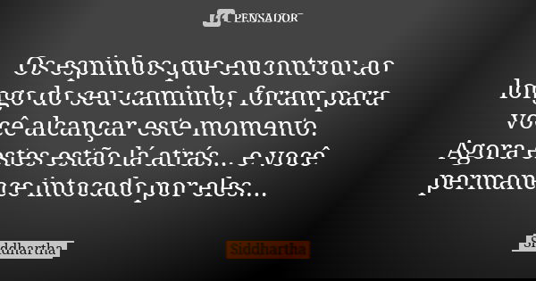 Os espinhos que encontrou ao longo do seu caminho, foram para você alcançar este momento. Agora estes estão lá atrás... e você permanece intocado por eles....... Frase de Siddhartha.