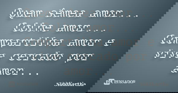 Quem sêmea amor... Colhe amor... Compartilha amor e vive cercado por amor...... Frase de Siddhartha.