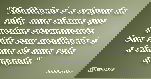 "Meditação é a origem da vida, uma chama que queima eternamente. Sua vida sem meditação é a chama de uma vela apagada."... Frase de Siddhartha.