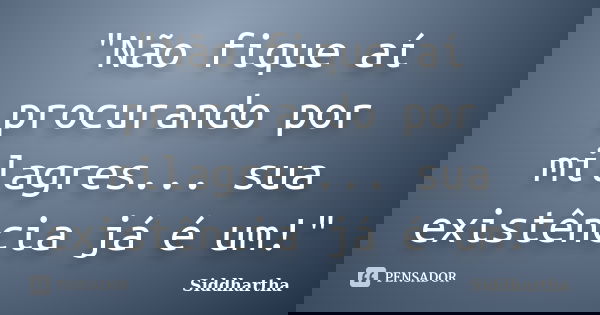 "Não fique aí procurando por milagres... sua existência já é um!"... Frase de Siddhartha.