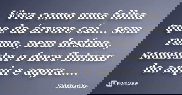 Viva como uma folha que da árvore caí... sem rumo, nem destino, somente o doce flutuar do aqui e agora....... Frase de Siddhartha.