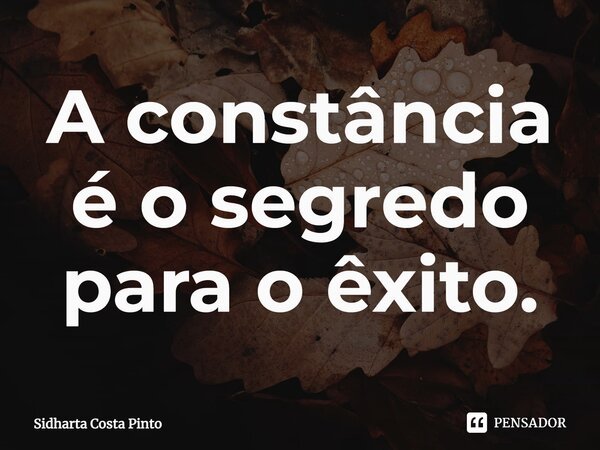 ⁠A constância é o segredo para o êxito.... Frase de sidharta Costa Pinto.
