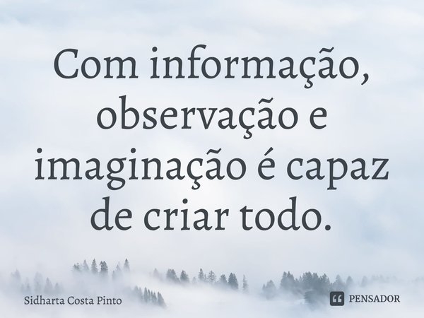 ⁠Com informação, observação e imaginação é capaz de criar todo.... Frase de sidharta Costa Pinto.