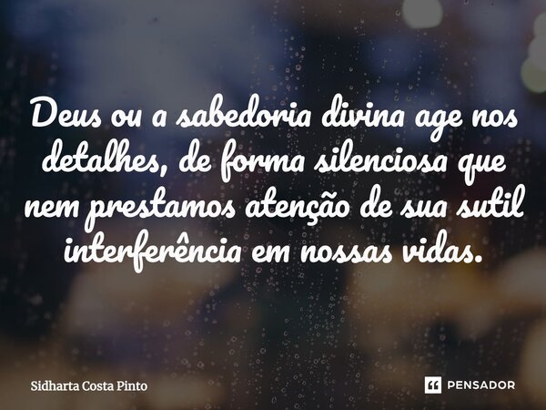 ⁠Deus ou a sabedoria divina age nos detalhes, de forma silenciosa que nem prestamos atenção de sua sutil interferência em nossas vidas.... Frase de sidharta Costa Pinto.