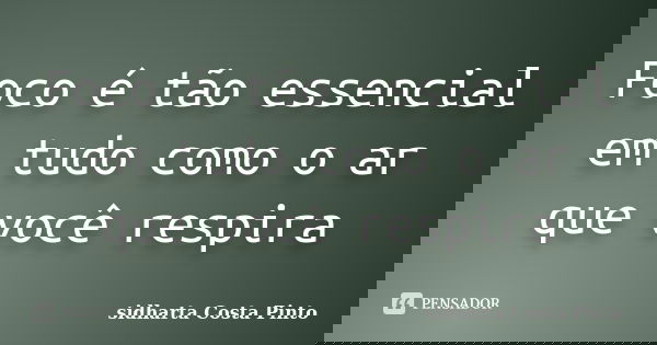 Foco é tão essencial em tudo como o ar que você respira... Frase de Sidharta Costa Pinto.