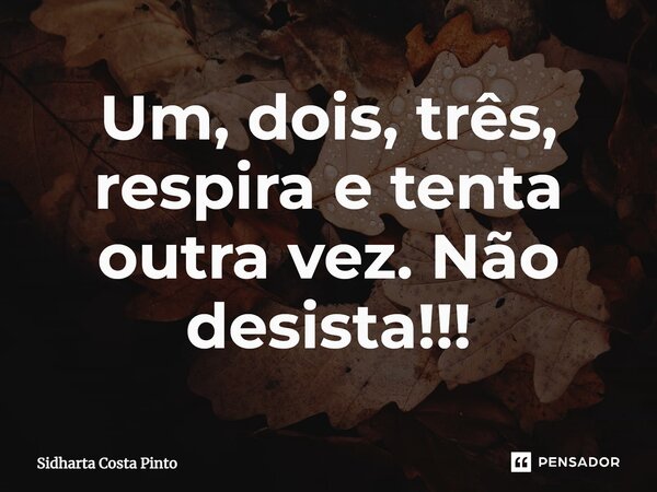 ⁠Um, dois, três, respira e tenta outra vez. Não desista!!!... Frase de sidharta Costa Pinto.