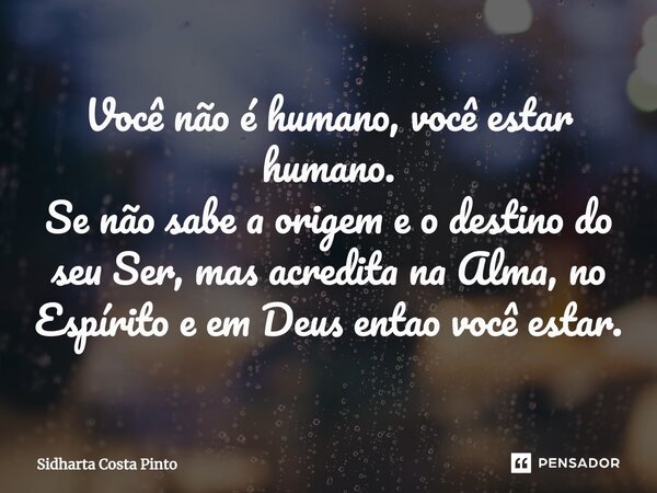 ⁠Você não é humano, você estar humano. Se não sabe a origem e o destino do seu Ser, mas acredita na Alma, no Espírito e em Deus então você estar.... Frase de sidharta Costa Pinto.
