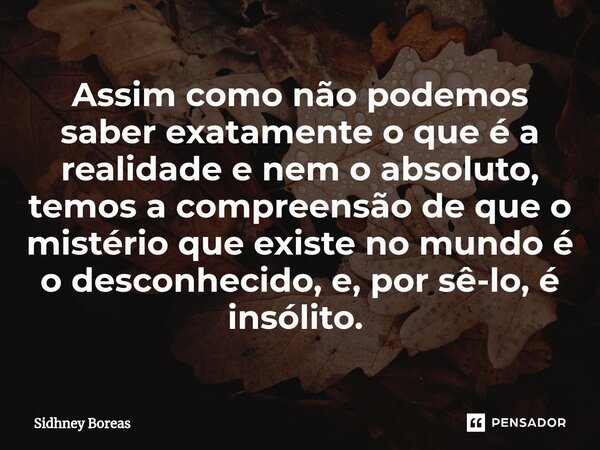 Assim como não podemos saber exatamente o que é a realidade e nem o absoluto, temos a compreensão de que o mistério que existe no mundo é o desconhecido, e, por... Frase de Sidhney Boreas.