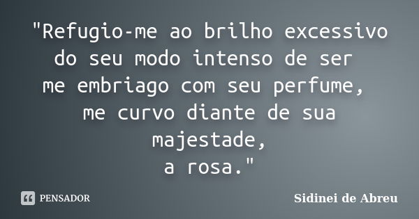 "Refugio-me ao brilho excessivo do seu modo intenso de ser me embriago com seu perfume, me curvo diante de sua majestade, a rosa."... Frase de Sidinei de Abreu.